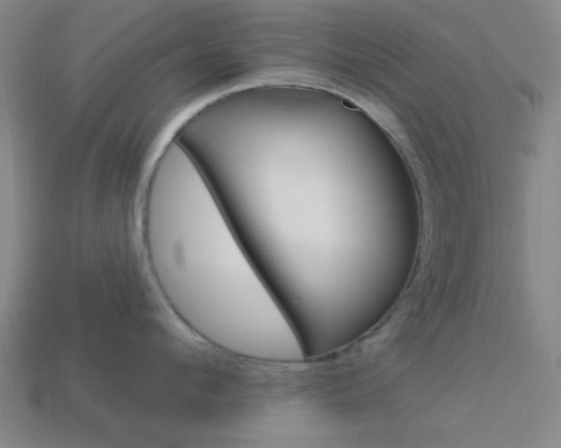 X0000113980912200910020946
