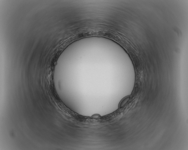 X0000113980914200910020946