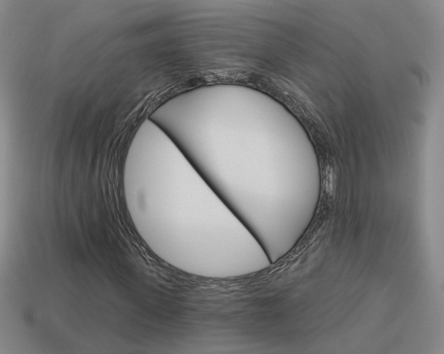 X0000113980915200910020946