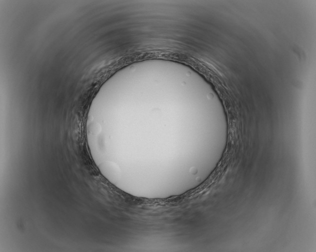 X0000113980917200910020946