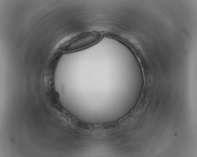 X0000113980920200910020946