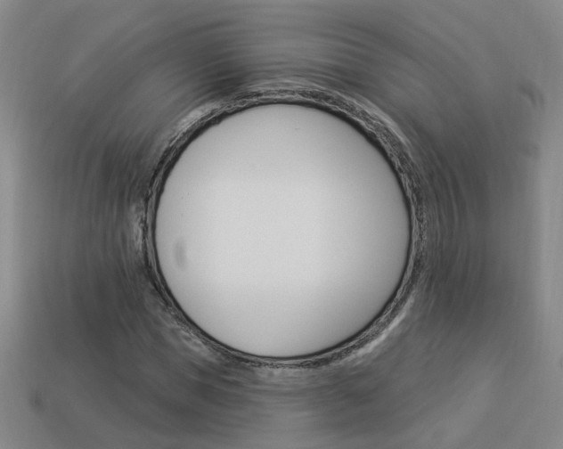 X0000113980921200910020946