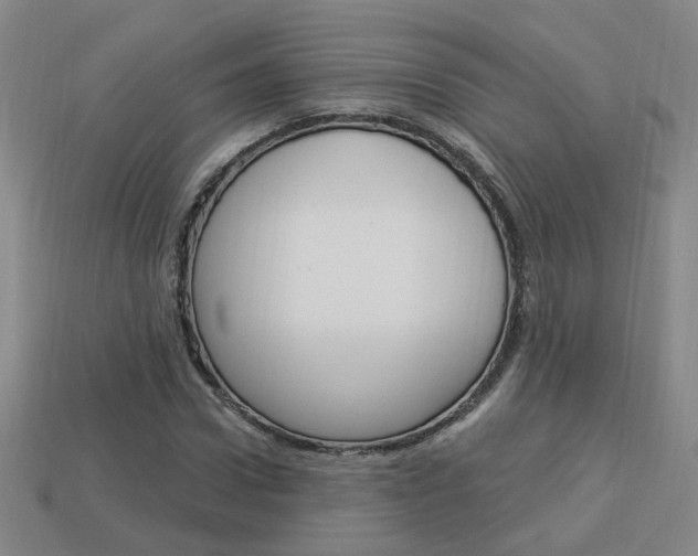 X0000113980922200910020946