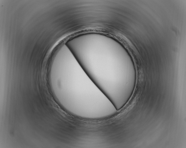 X0000113980923200910020946
