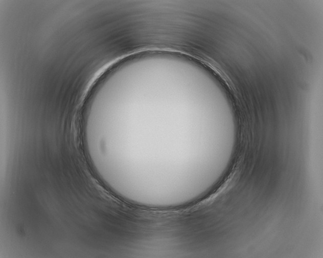 X0000113980926200910020946