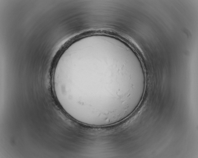 X0000113980927200910020946