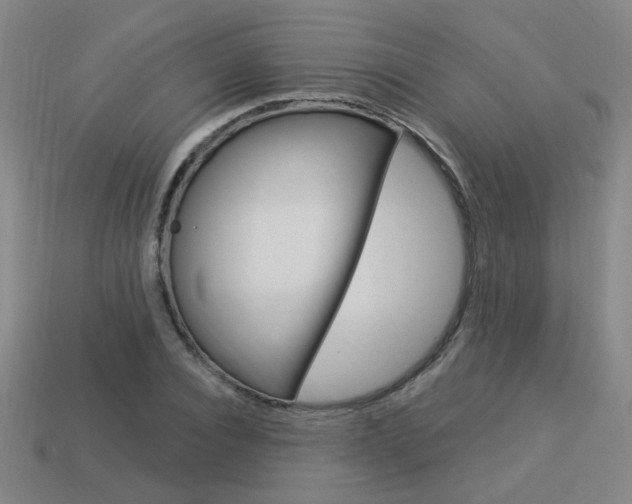 X0000113980928200910020946