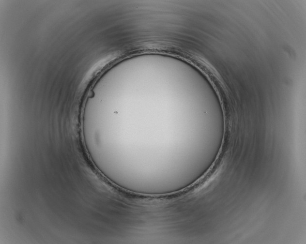 X0000113980930200910020946