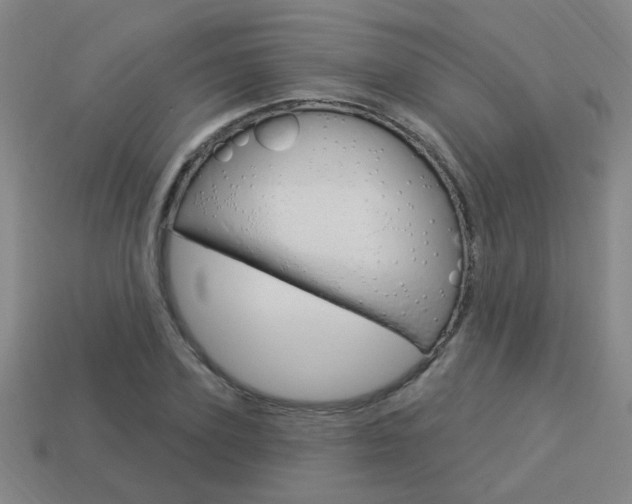 X0000113980931200910020946