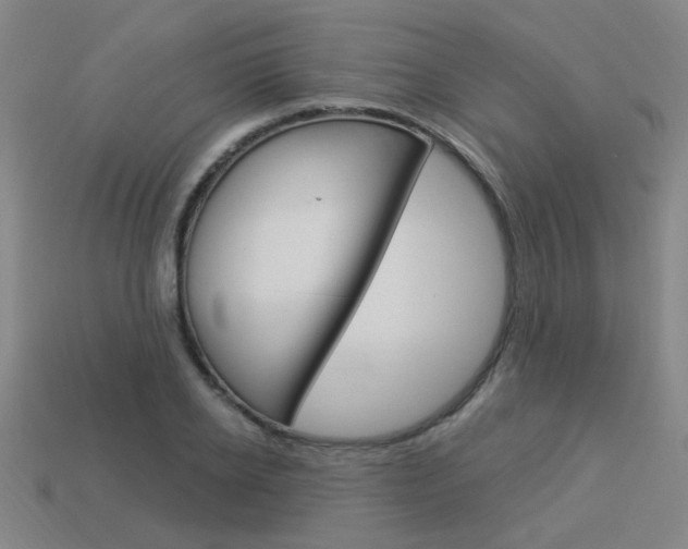 X0000113980934200910020946