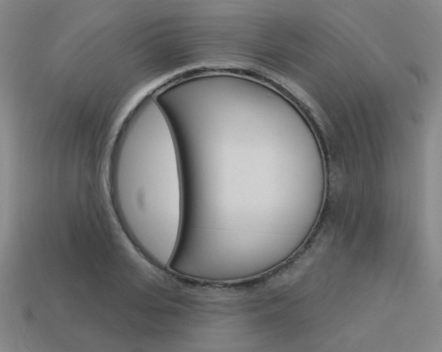 X0000113980935200910020946