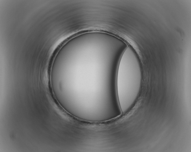 X0000113980936200910020946