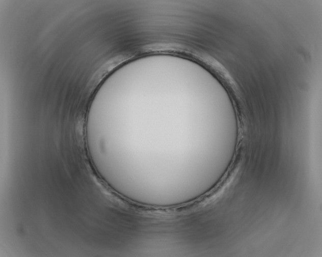 X0000113980937200910020946