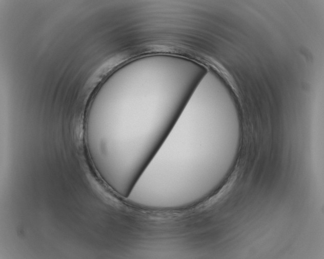 X0000113980938200910020946