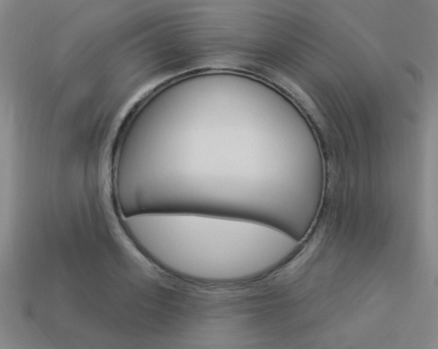 X0000113980939200910020946