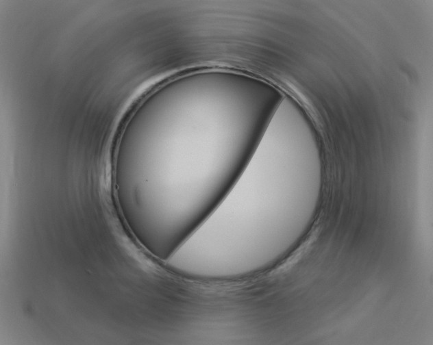 X0000113980940200910020946