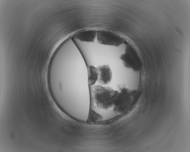 X0000113980941200910020946