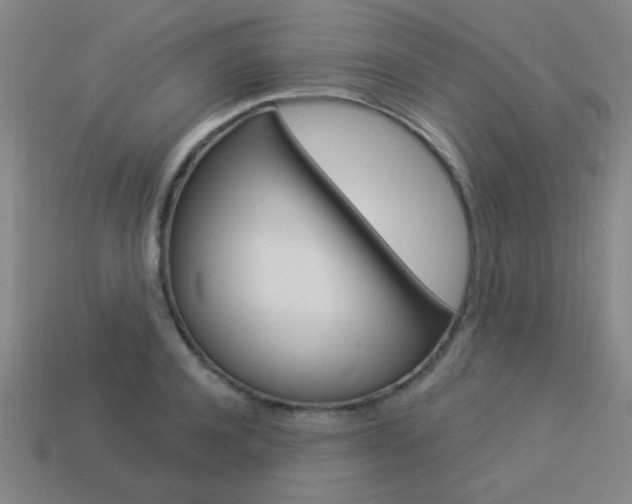 X0000113980944200910020946