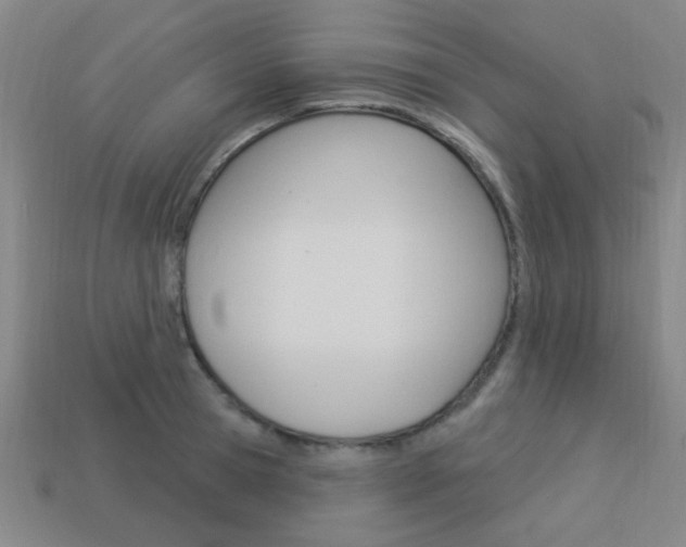 X0000113980945200910020946
