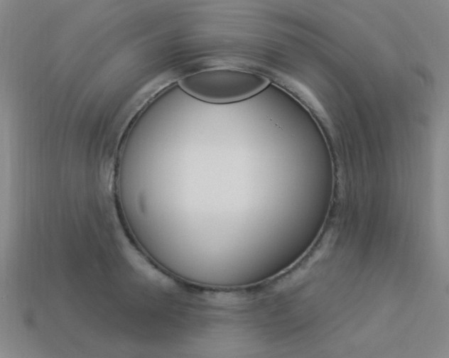 X0000113980946200910020946