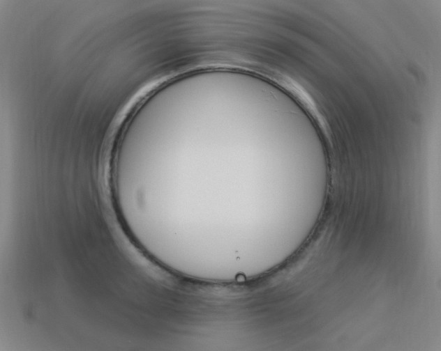 X0000113980947200910020946