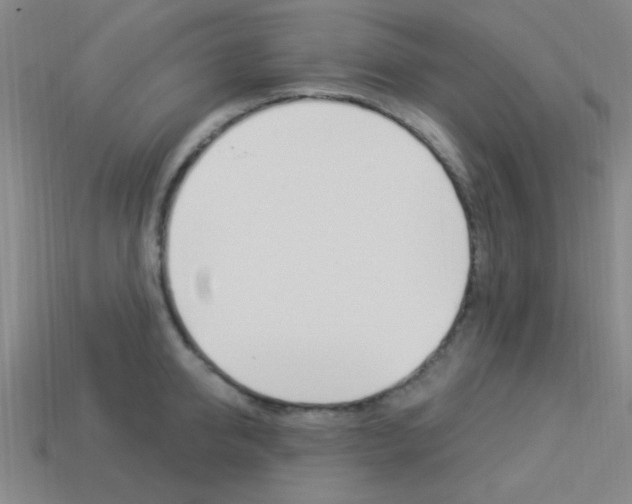 X0000113980950200910020946