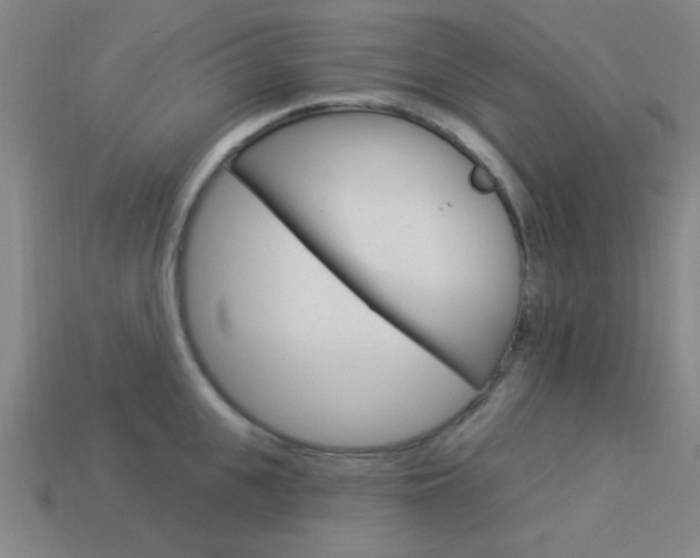 X0000113980951200910020946