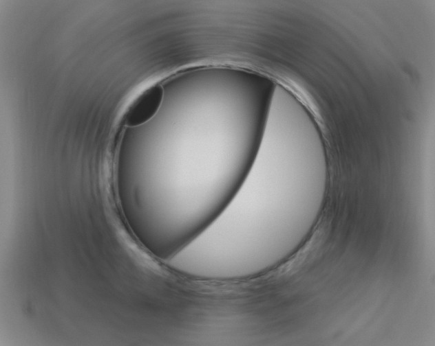 X0000113980952200910020946