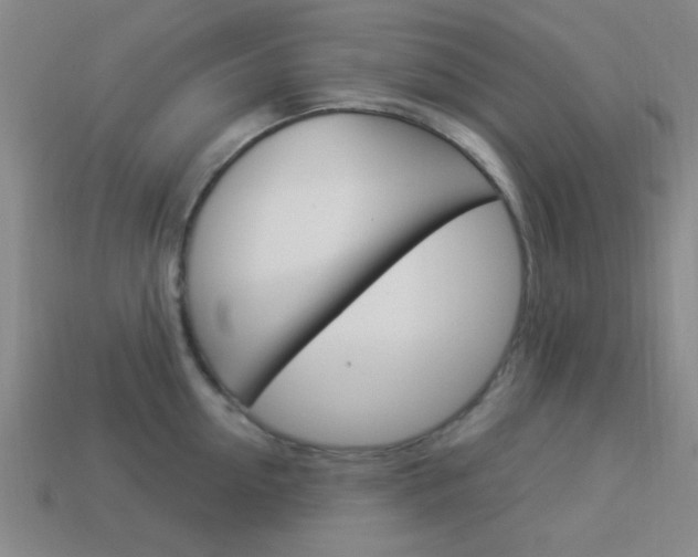 X0000113980954200910020946
