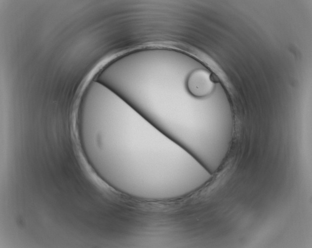 X0000113980955200910020946