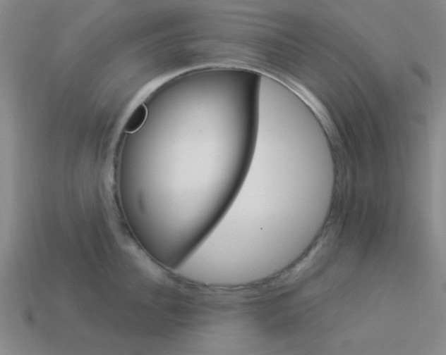 X0000113980956200910020946