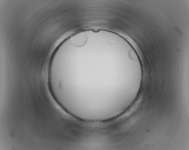 X0000113980957200910020946