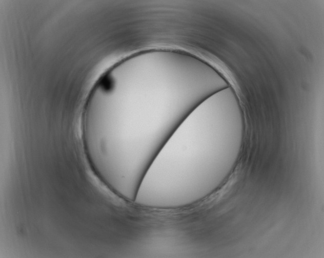 X0000113980958200910020946