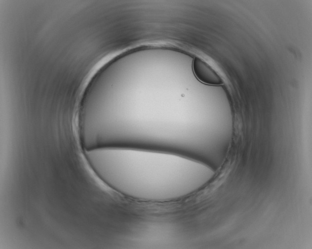 X0000113980959200910020946