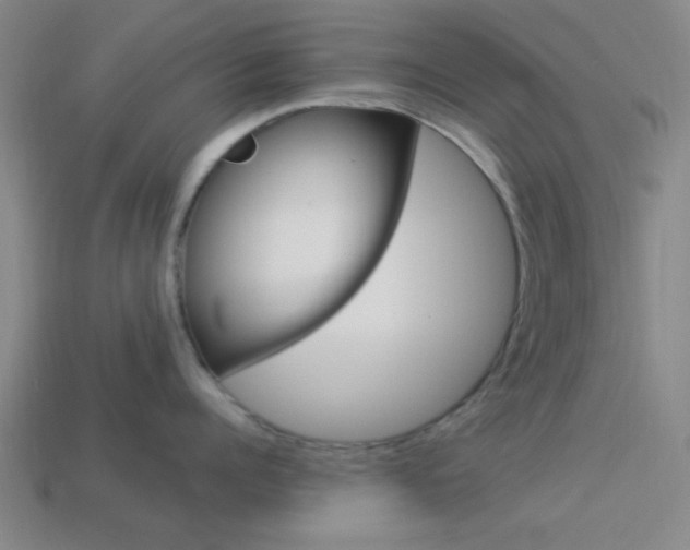 X0000113980960200910020946