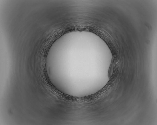 X0000113980961200910020946
