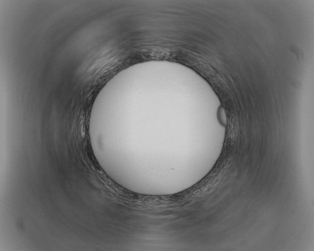 X0000113980962200910020945