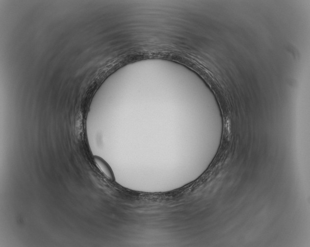 X0000113980963200910020945
