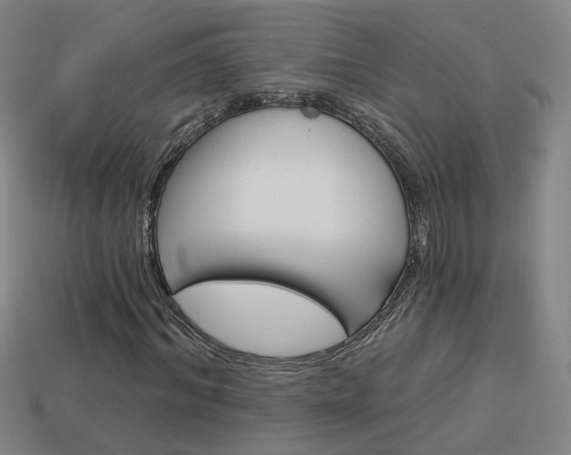 X0000113980964200910020945