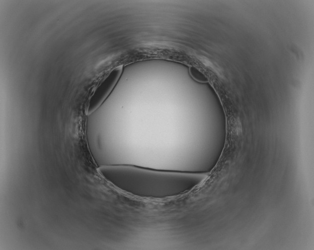 X0000113980965200910020945