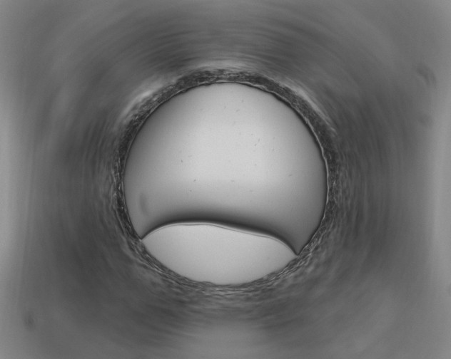 X0000113980967200910020945