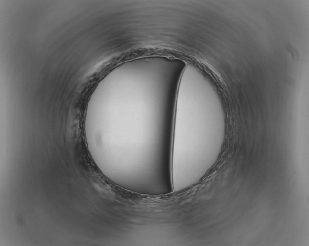 X0000113980968200910020945