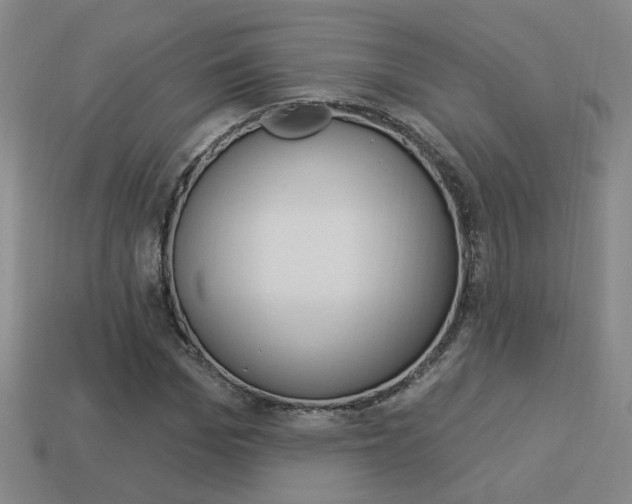 X0000113980969200910020945