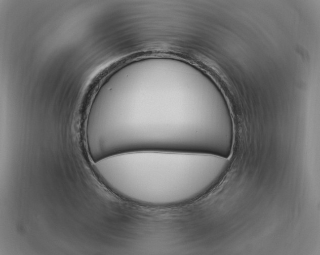 X0000113980971200910020945