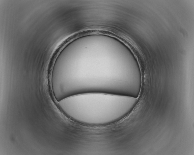 X0000113980972200910020945