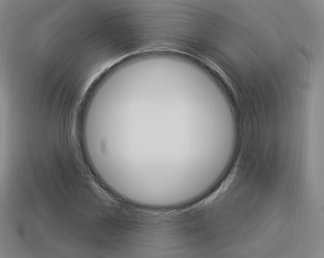 X0000113980973200910020945