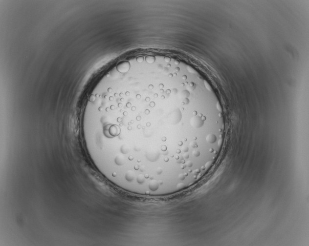 X0000113980974200910020945