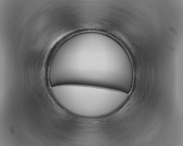 X0000113980975200910020945