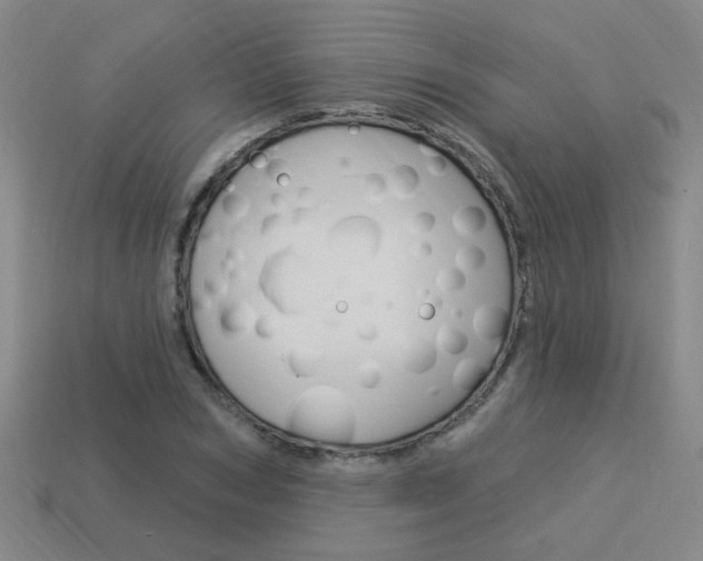X0000113980978200910020945