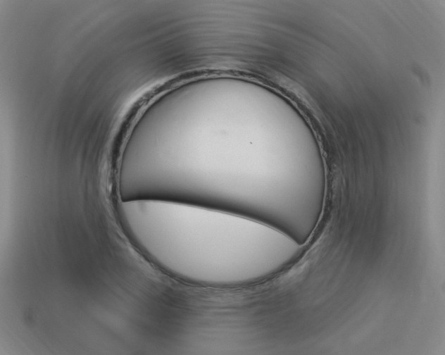 X0000113980979200910020945